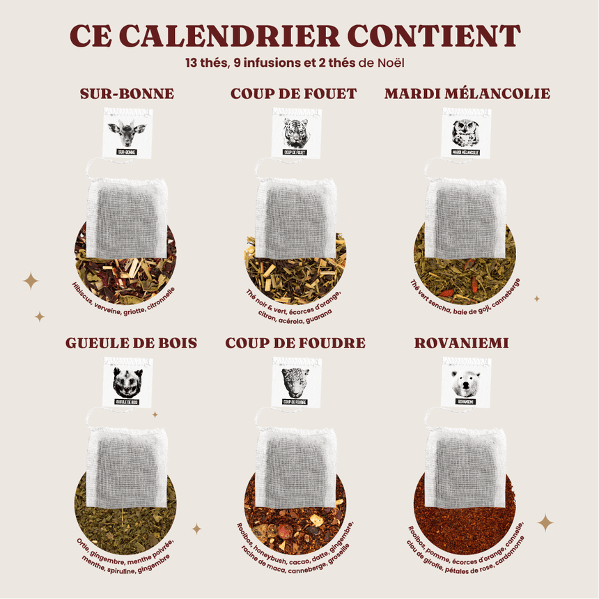 Le calendrier de l'Avent dégustation format livre